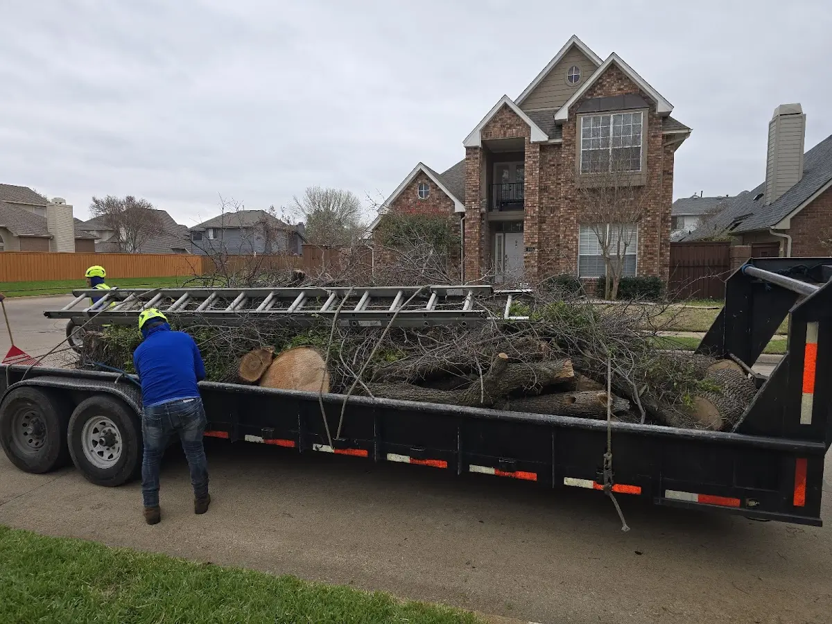 Expert Lot Clearing with proper safety equipment in Thebes